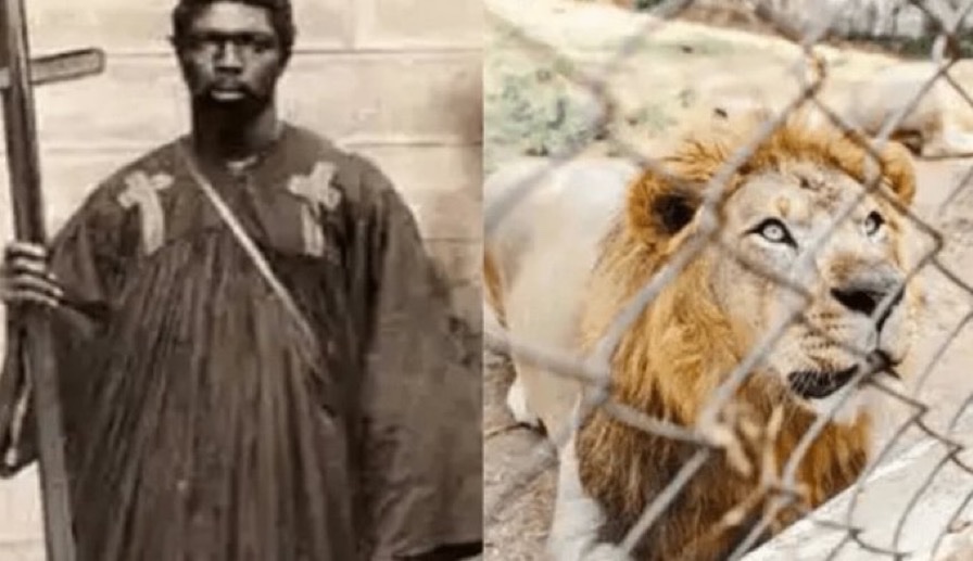 The Tale of the Nigerian Prophet Daniel Aboderin Who Was Ripped Apart by Lions at the University of Ibadan Zoo in 1991